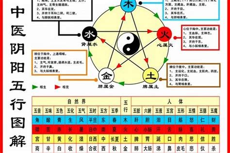 自己五行|五行查询